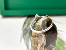 Load image into Gallery viewer, Picture Me in the Trees Ring in Silver