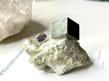 Load image into Gallery viewer, Little Leaves Earrings in Silver