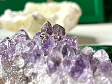 Load image into Gallery viewer, Three Trees Earrings in Silver